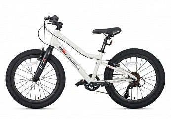 Велосипед Детский Maxiscoo 3BIKE 20'' L Серый (2025)