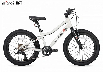 Велосипед Детский Maxiscoo 3BIKE 20'' L Серый (2025)