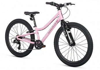 Велосипед Детский Maxiscoo 3BIKE 24'' L Розовый Матовый (2025)