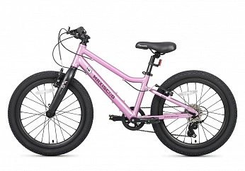 Велосипед Детский Maxiscoo 5BIKE 20'' L200 Розовый Сапфир (2025)