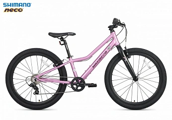 Велосипед Детский Maxiscoo 5BIKE 24'' L200 Розовый Сапфир (2025)