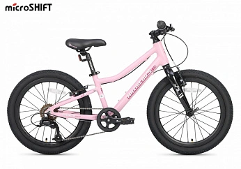 Велосипед Детский Maxiscoo 3BIKE 20'' L Розовый Матовый (2025)