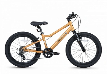 Велосипед Детский Maxiscoo 5BIKE 20'' L Оранжевый Матовый (2026)