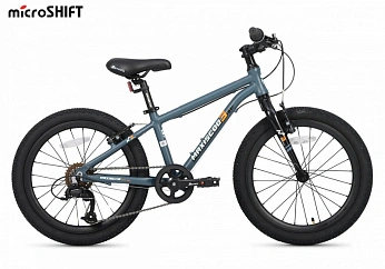 Велосипед Детский Maxiscoo 3BIKE 20'' M Серый Матовый (2025)