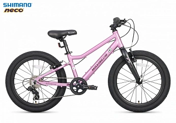 Велосипед Детский Maxiscoo 5BIKE 20'' L200 Розовый Сапфир (2025)