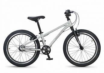 Велосипед Детский Maxiscoo STELLAR PRO 20'' Серебро (2026) 