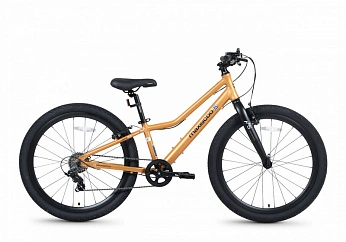 Велосипед Детский Maxiscoo 5BIKE 24'' L Оранжевый Матовый (2026)