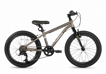 Велосипед Детский Maxiscoo 3BIKE 20'' M Коричневый Матовый (2026)