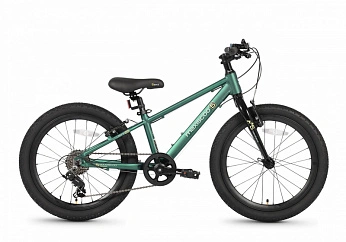 Велосипед Детский Maxiscoo 5BIKE 20'' M Зеленый Матовый (2026)