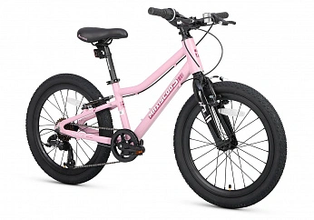 Велосипед Детский Maxiscoo 3BIKE 20'' L Розовый Матовый (2025)