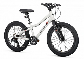 Велосипед Детский Maxiscoo 3BIKE 20'' L Серый (2025)